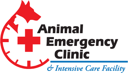 Animal Emergency Clinic & Intensive Care Facility 