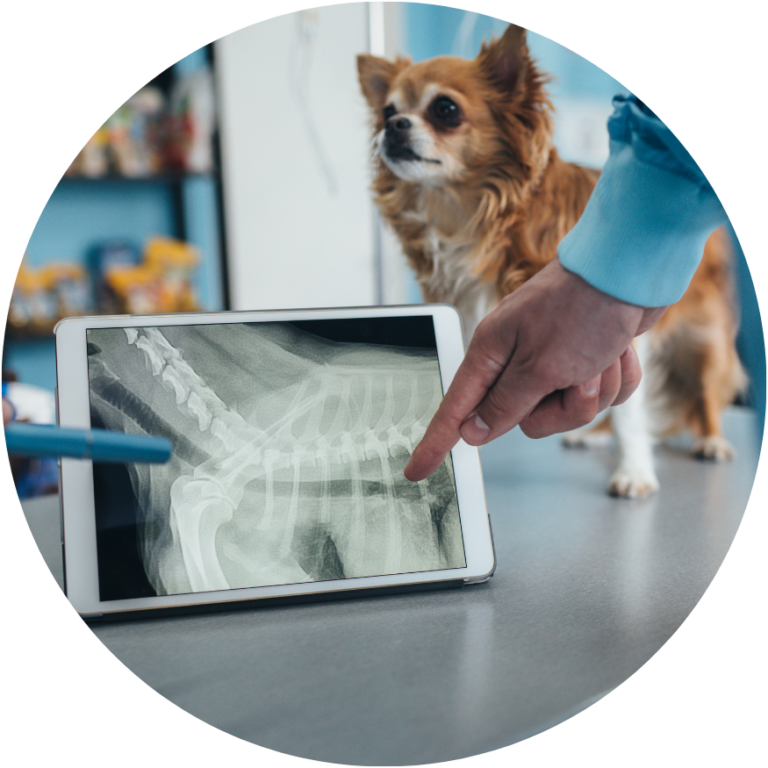 In-House Diagnostics